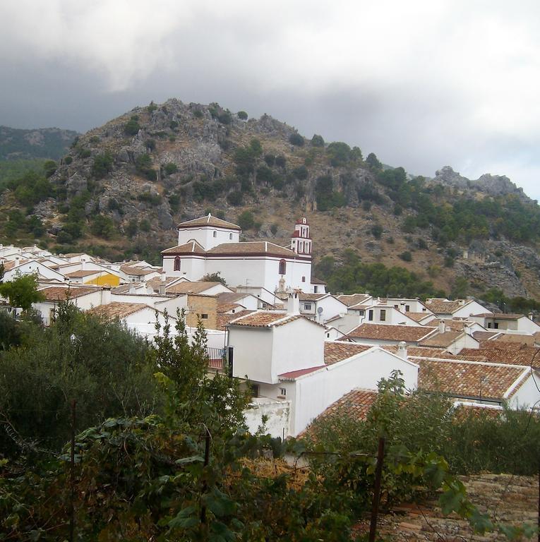 Alojamiento Rural Calle Del Carmenグラサレマ エクステリア 写真
